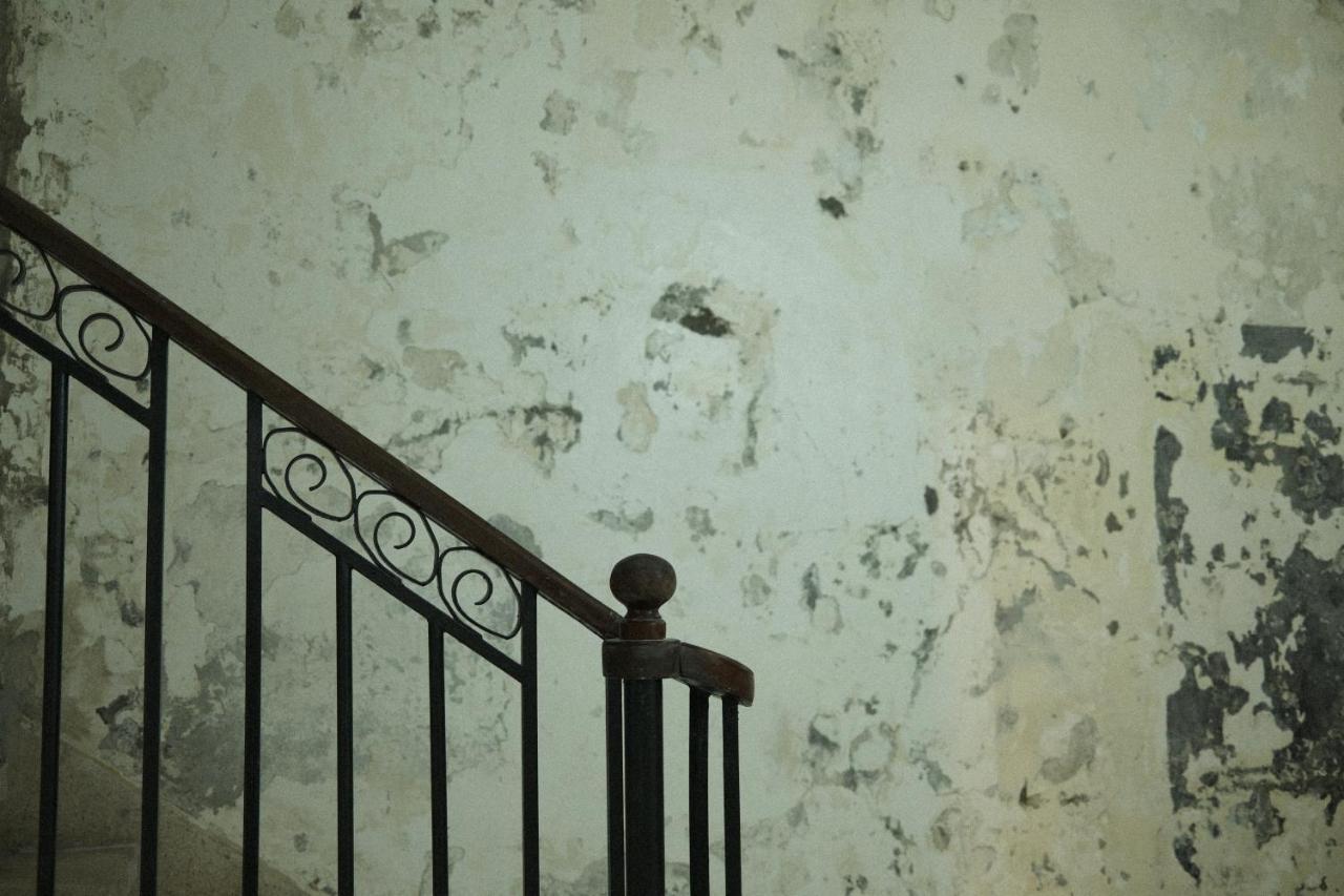 Maison Victoire, Pointe-A-Pitre エクステリア 写真